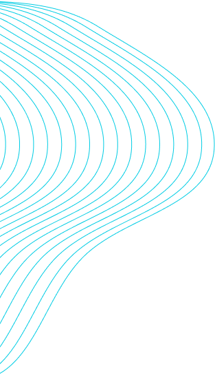 company-transparency-shape-1-1